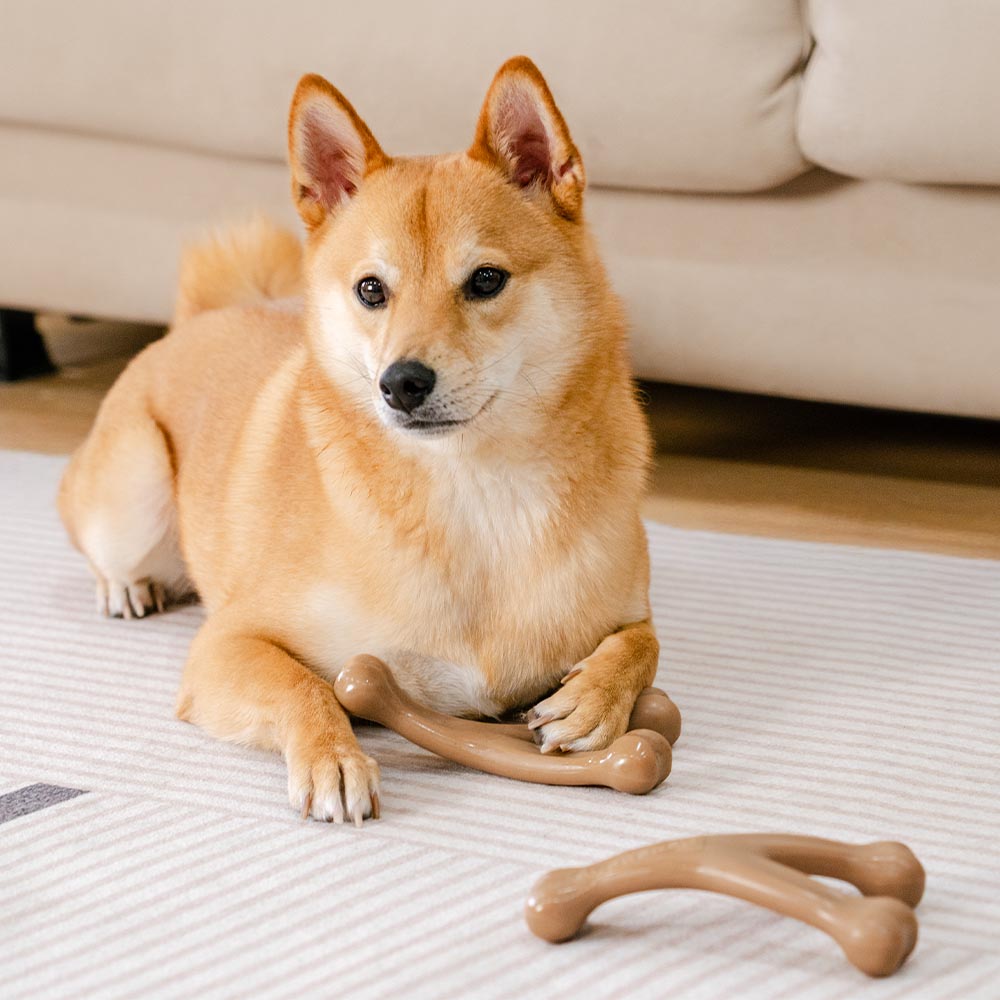 Juguete masticable para perros con huesos para la dentición, sabor a tocino