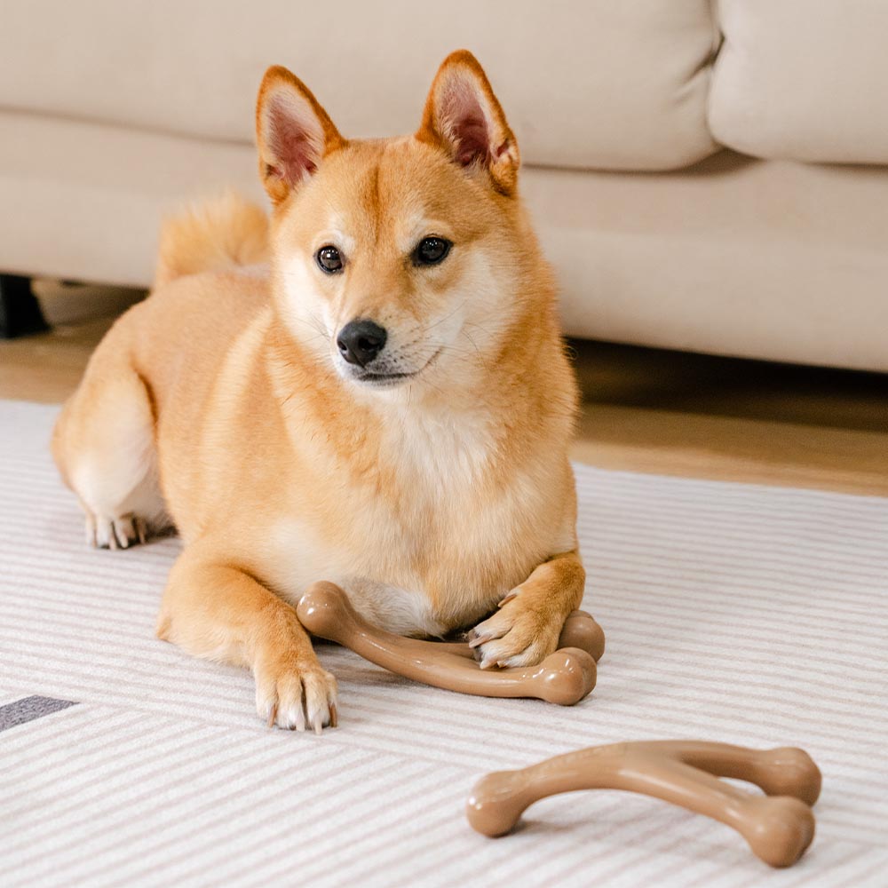 Giocattolo da masticare per cani a forma di ossa da dentizione - Gusto bacon