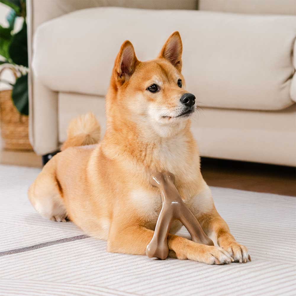 Giocattolo da masticare per cani a forma di ossa da dentizione - Gusto bacon