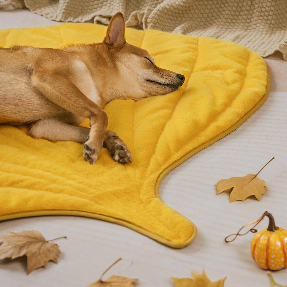 Tapis pour chien lavable en forme de feuille en peluche - Le collecteur de feuilles