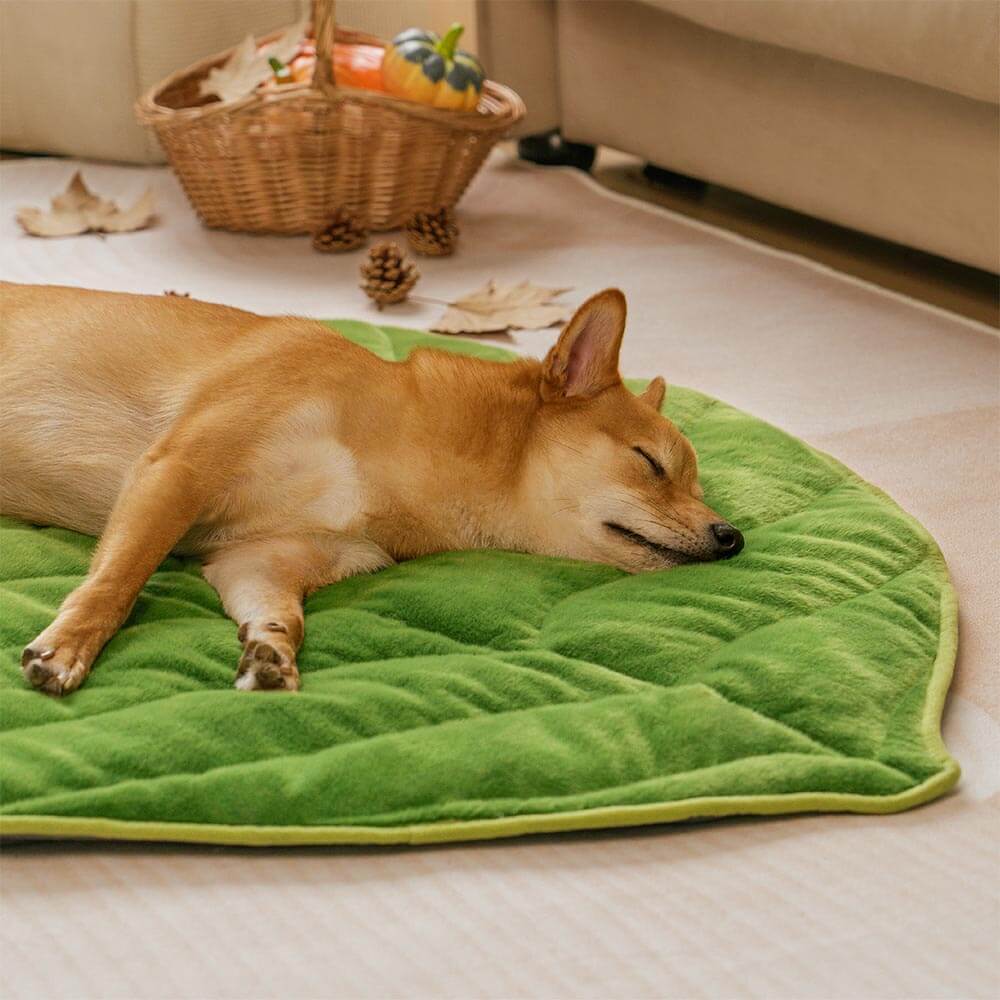 Tapis pour chien lavable en forme de feuille en peluche - Le collecteur de feuilles