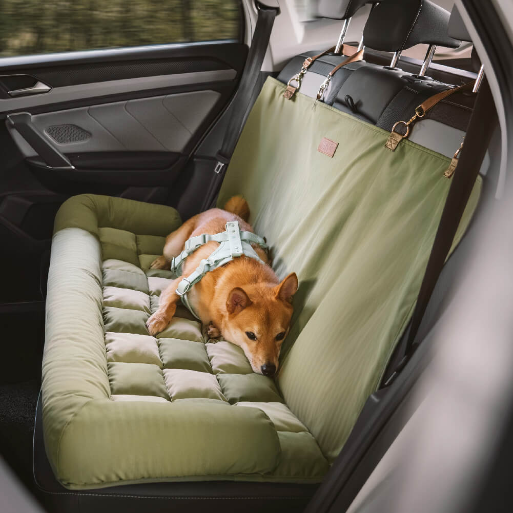 Sedile posteriore di sicurezza del cestino da viaggio Liced sedile per auto con cani - Scatto di scacchiere