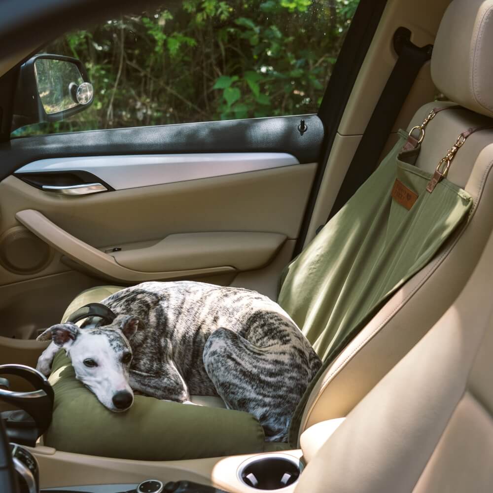Sedile posteriore di sicurezza del cestino da viaggio Liced sedile per auto con cani - Scatto di scacchiere