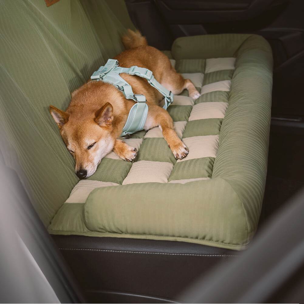 Sedile posteriore di sicurezza del cestino da viaggio Liced sedile per auto con cani - Scatto di scacchiere