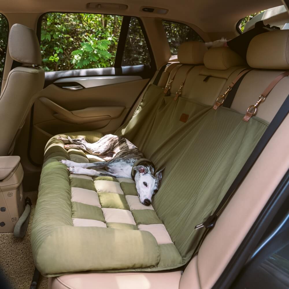 Sedile posteriore di sicurezza del cestino da viaggio Liced sedile per auto con cani - Scatto di scacchiere