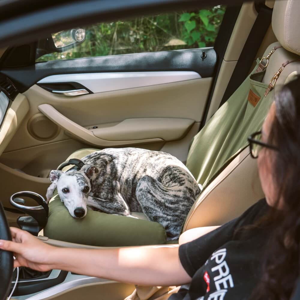 Sedile posteriore di sicurezza del cestino da viaggio Liced sedile per auto con cani - Scatto di scacchiere