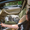 Sedile posteriore di sicurezza del cestino da viaggio Liced sedile per auto con cani - Scatto di scacchiere