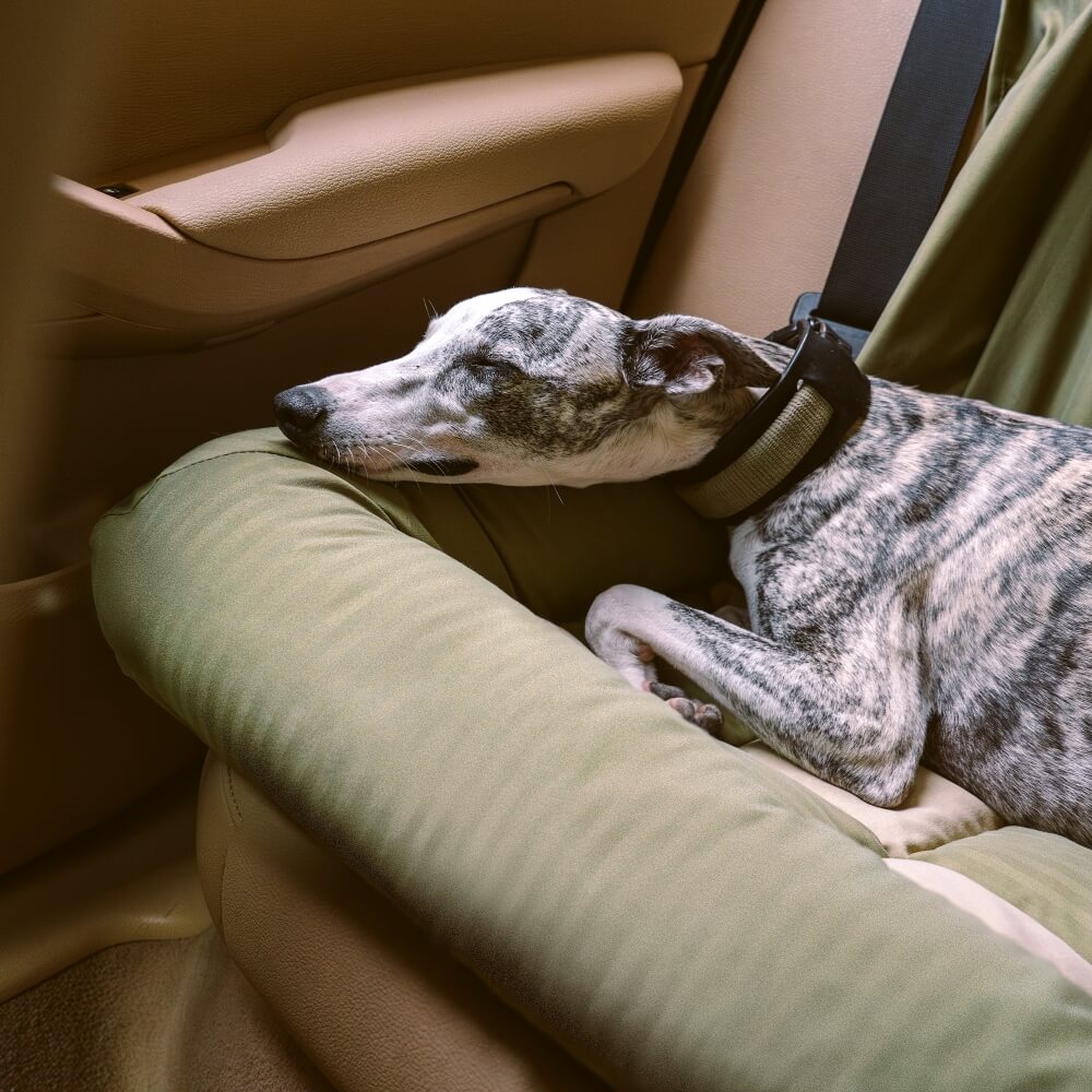 Sedile posteriore di sicurezza del cestino da viaggio Liced sedile per auto con cani - Scatto di scacchiere