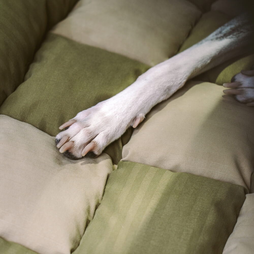Sedile posteriore di sicurezza del cestino da viaggio Liced sedile per auto con cani - Scatto di scacchiere