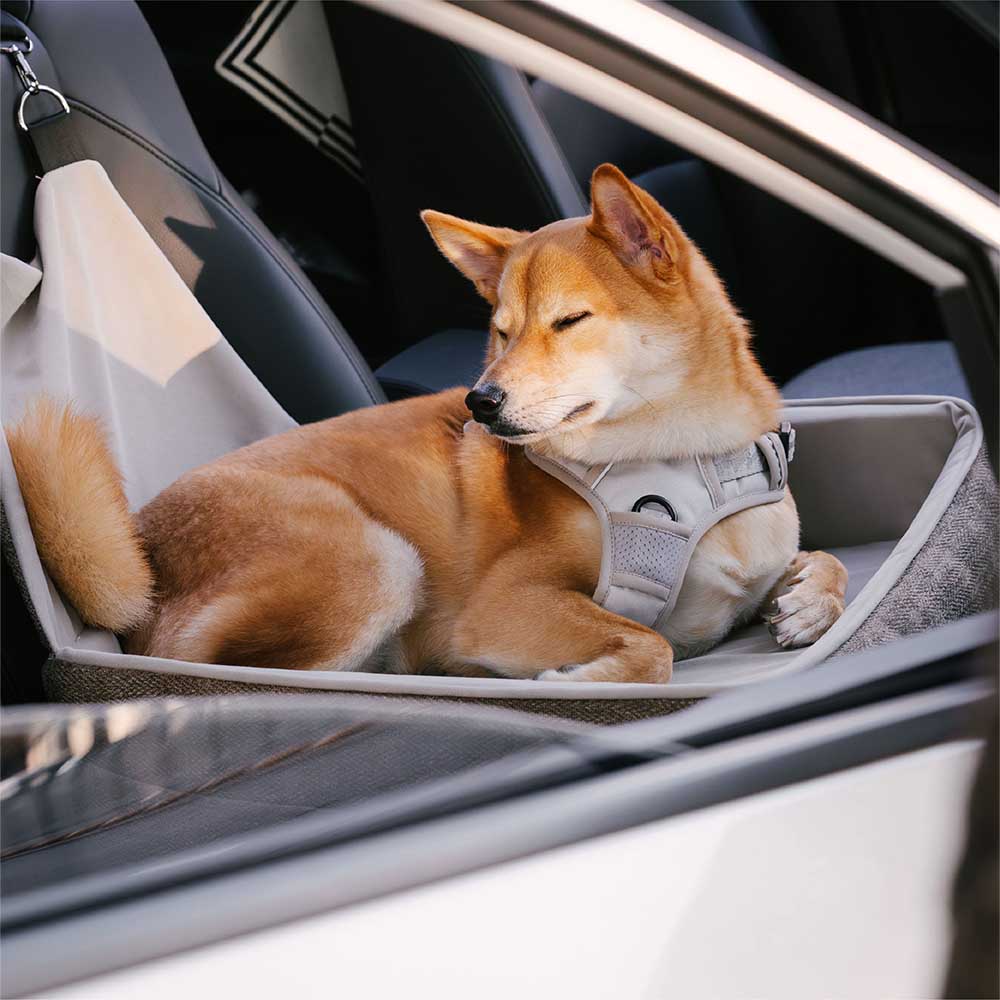 Seggiolino per auto per cani elevato e rinforzato per la sicurezza durante i viaggi