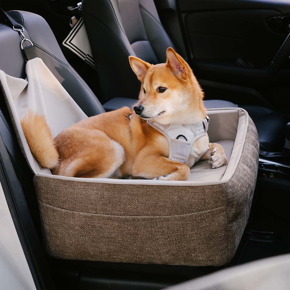 Seggiolino per auto per cani elevato e rinforzato per la sicurezza durante i viaggi