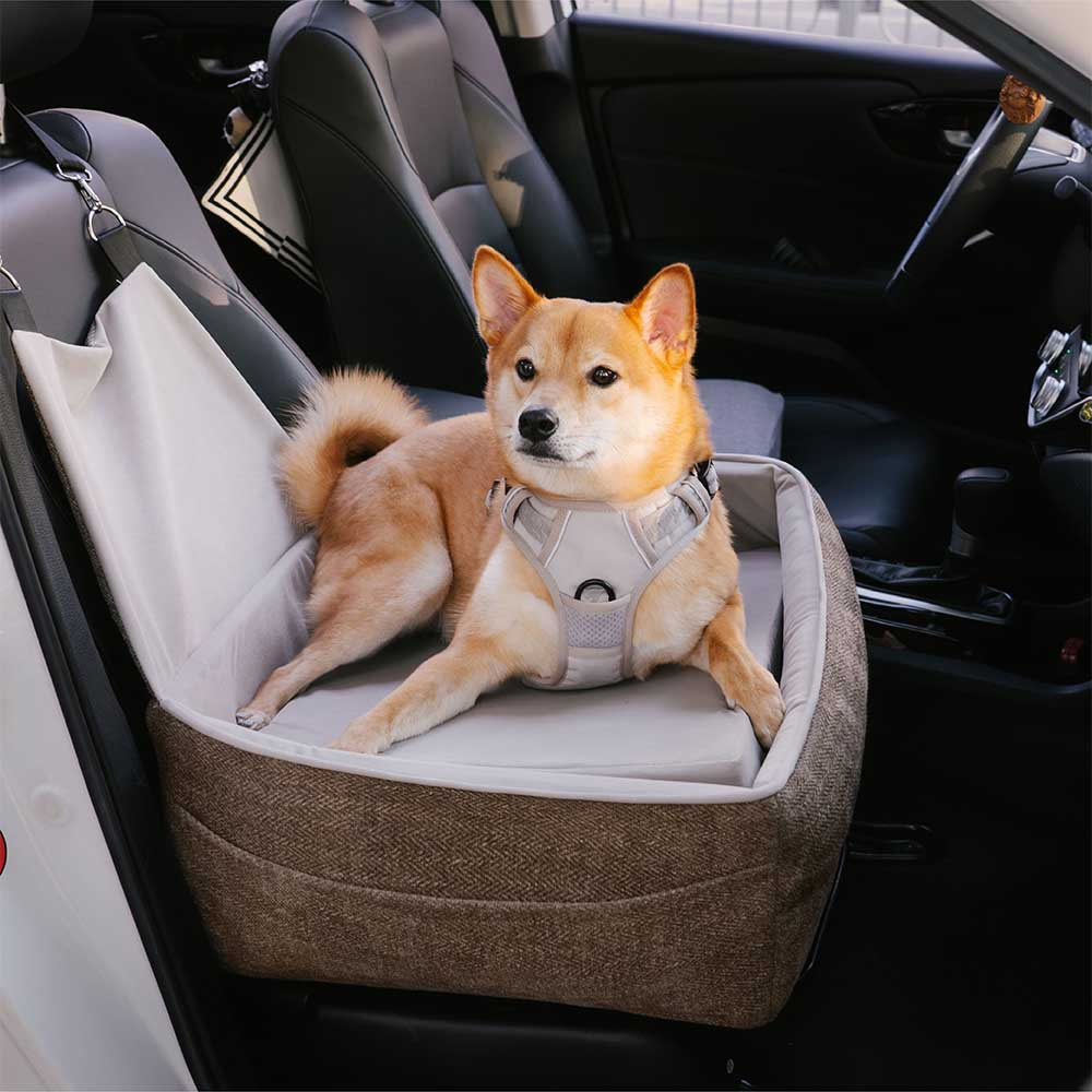 Seggiolino per auto per cani elevato e rinforzato per la sicurezza durante i viaggi