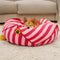 Modello a strisce alla moda Polygonal Cogoning Bean Bag Dog