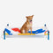 Lit pour chien surélevé en aluminium de style imprimé d'été vibrant - Summer Paradise