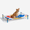 Lit pour chien surélevé en aluminium de style imprimé d'été vibrant - Summer Paradise