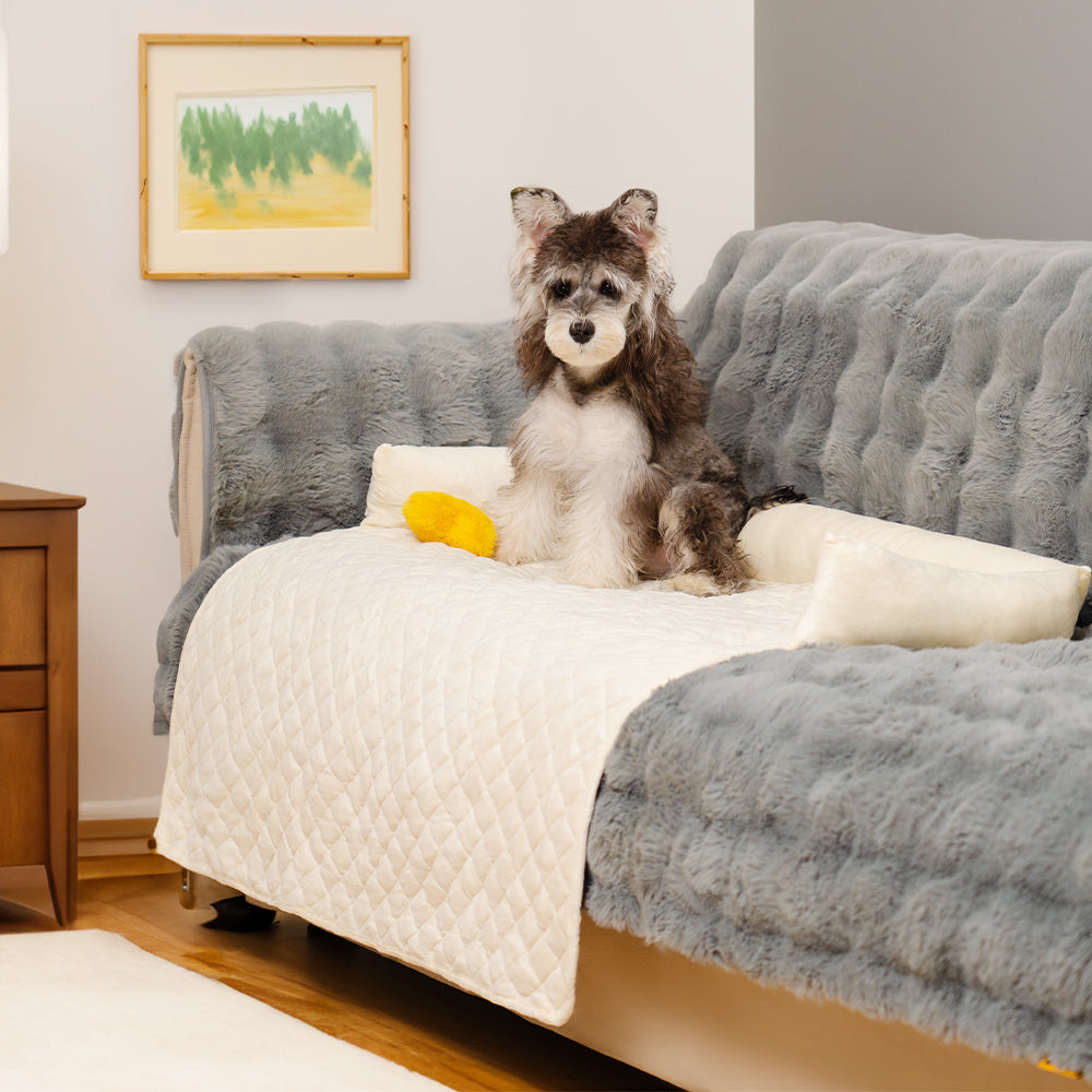 Copridivano per divano letto per cani, protettore per mobili calmante e impermeabile