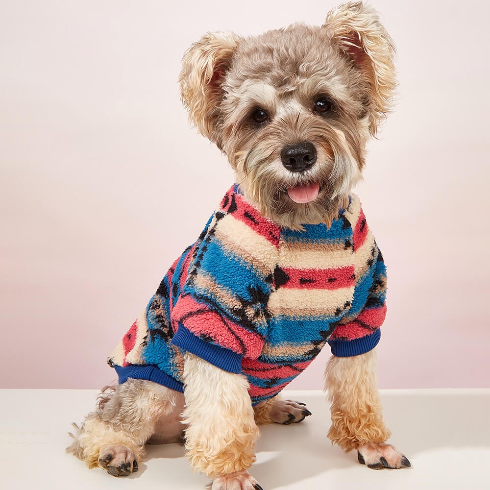 Maglione per cani a righe colorate: abbigliamento invernale accogliente e alla moda