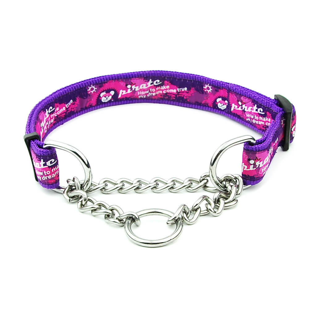 Collier pour chien à chaîne coulissante en nylon multicolore