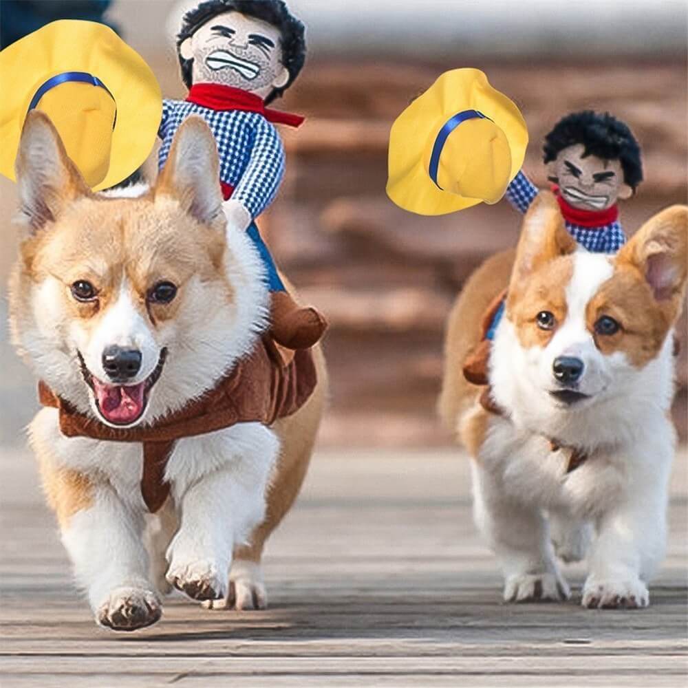 Cowboy-Reiter-Hundekostüm – perfekt für einen lustigen Halloween-Look