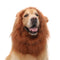 Costume per cani Mane Lion - Perfetto per Halloween e occasioni divertenti