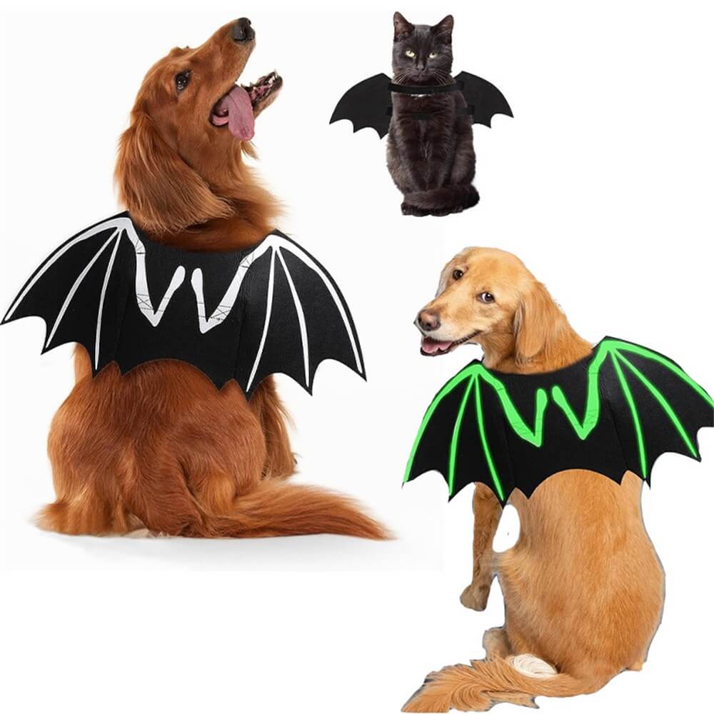 Costume da cane di Halloween con ali di pipistrello teschio luminoso | Oggetti di scena per giochi di ruolo per animali domestici