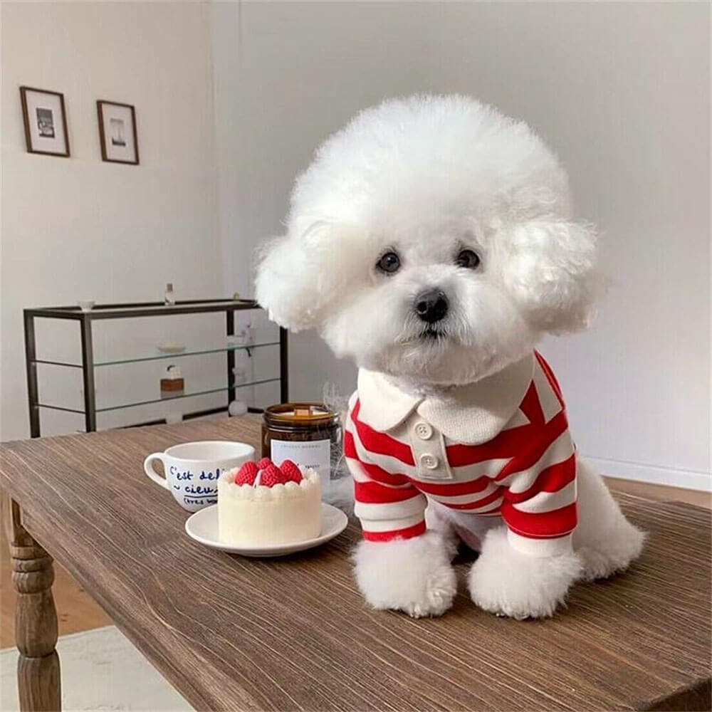 Magliette per cani a polo a righe classiche
