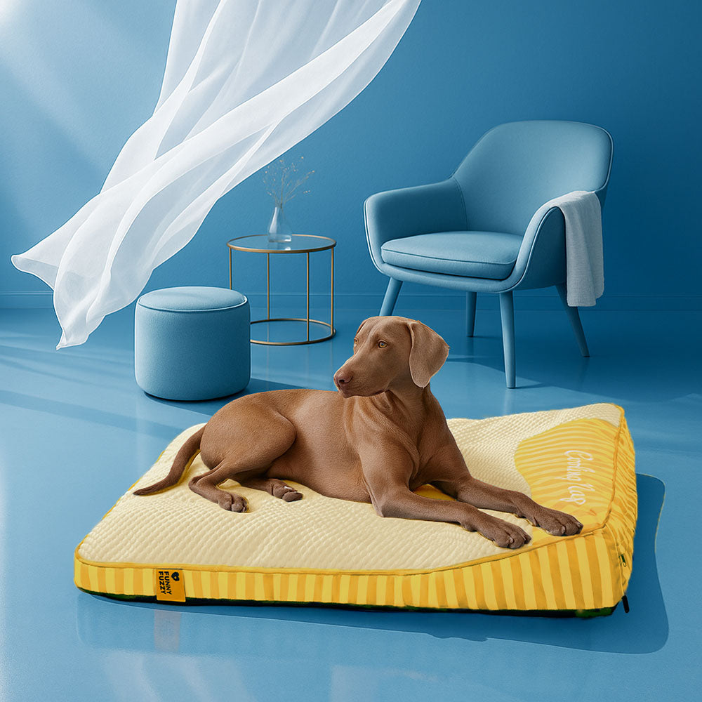 Letto ortopedico per cani rettangolare lavabile e rinfrescante extra large - Cooling Nap