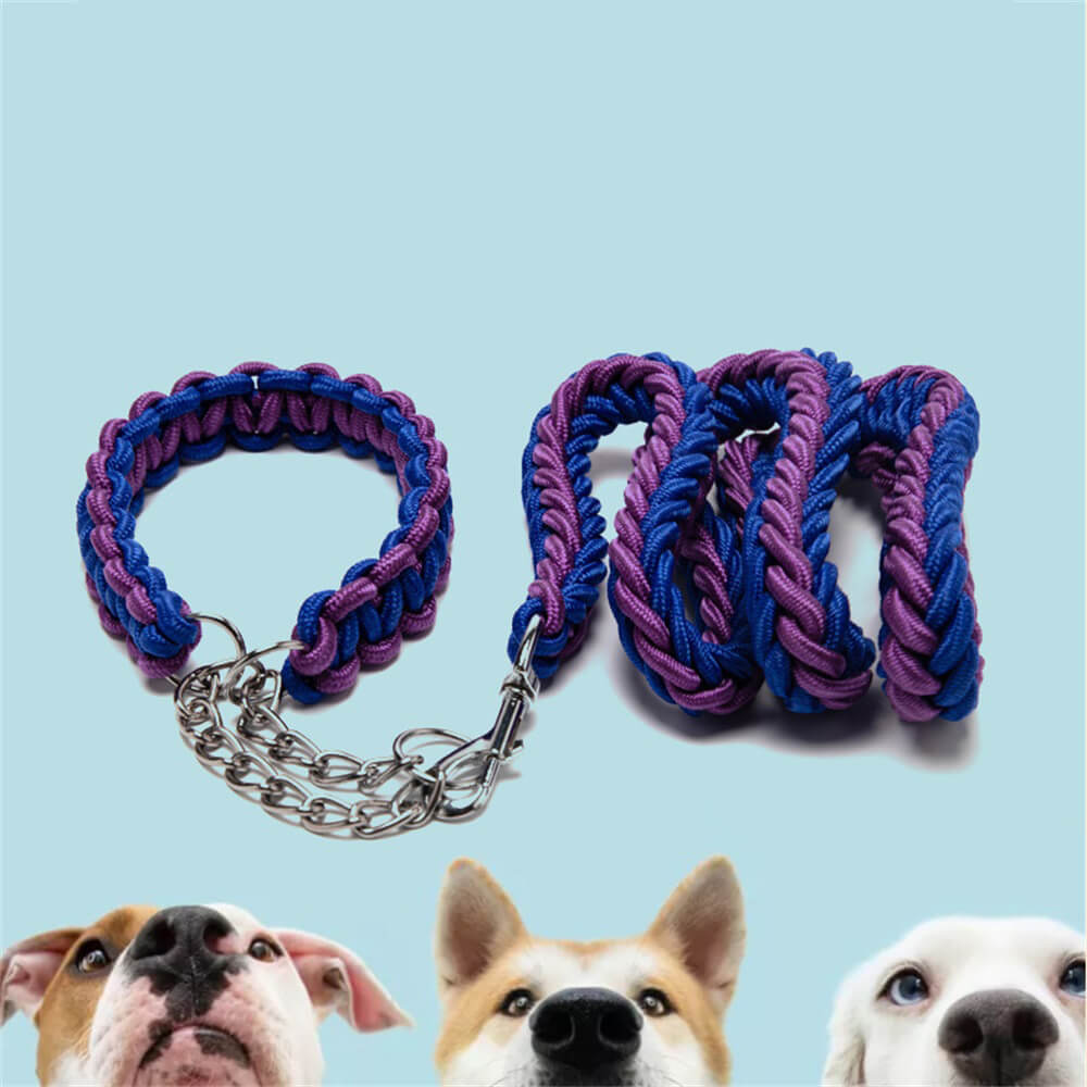 Laisse et collier pour chien tressé en nylon antidéflagrant