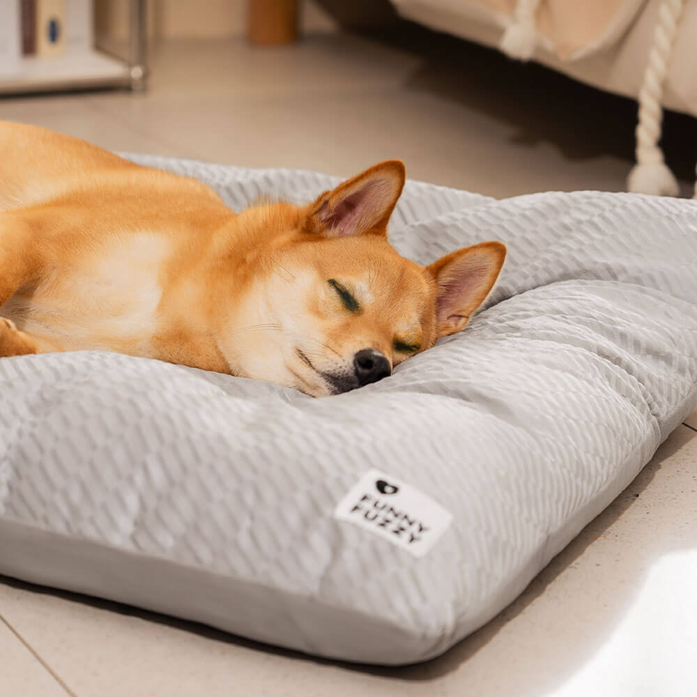 Tappetini per cani lavabili in peluche morbido e confortevole, a doppio lato, per calmare.
