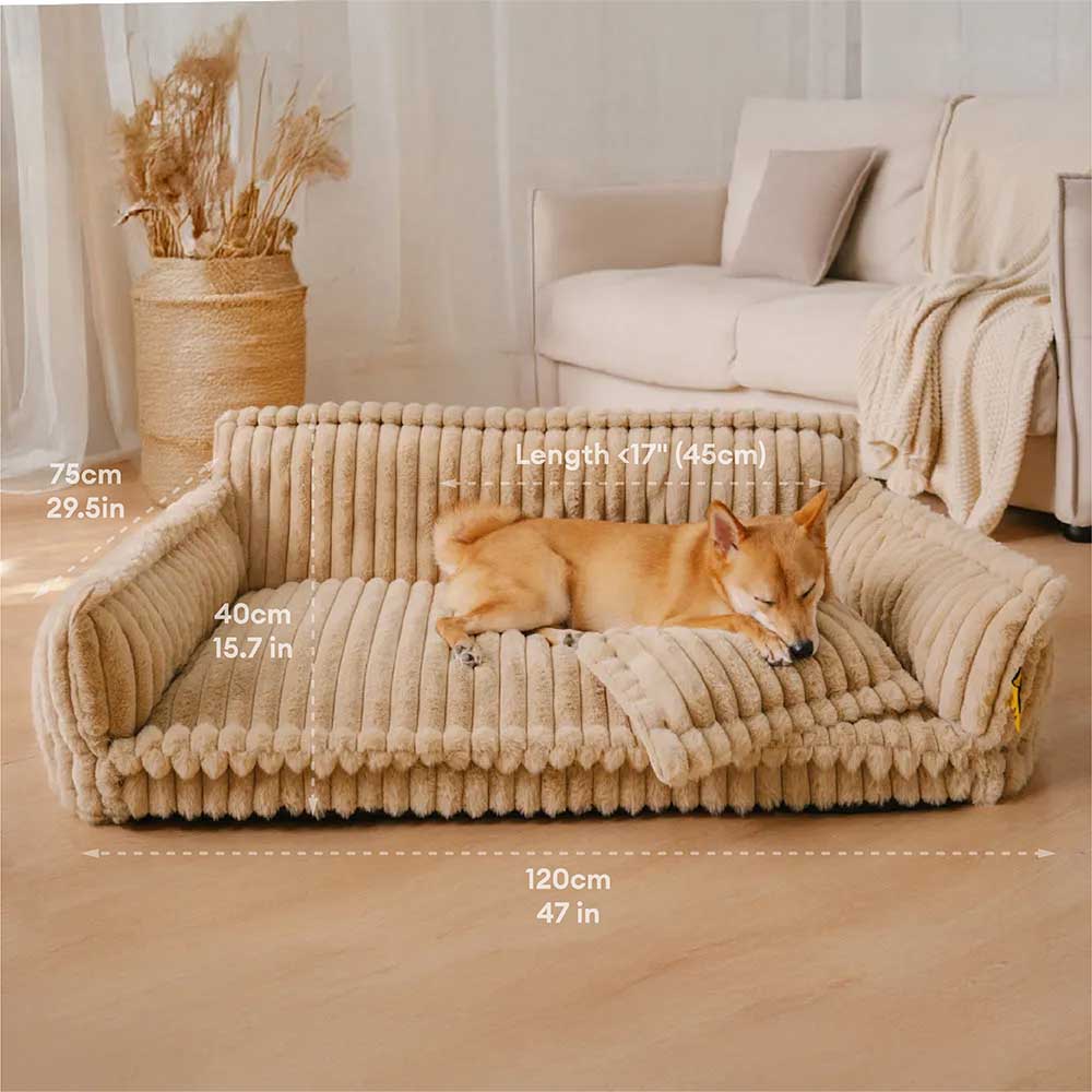 Grande cuscino lavabile per cani, morbido ortopedico, soffice divano letto per cani: sogno snoozy