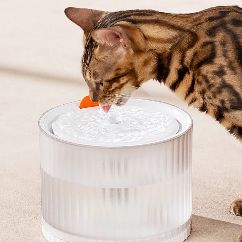 Dispenser d'acqua intelligente per animali domestici a ciclo automatico anti-perdite