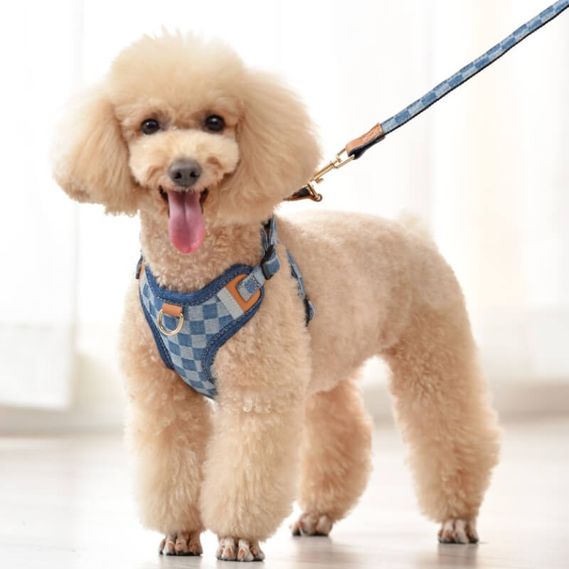 Set di Imbracatura Antisfilamento per Cani
