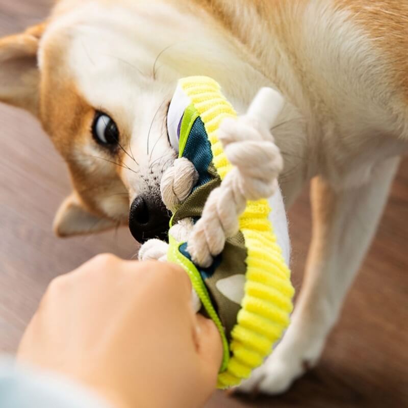 Giocattolo per la dentizione del cane, pantofola in corda di cotone