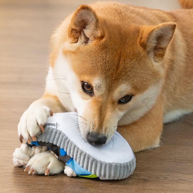 Giocattolo per cani in corda di cotone, pantofole giocattolo, giocattolo per la dentizione.