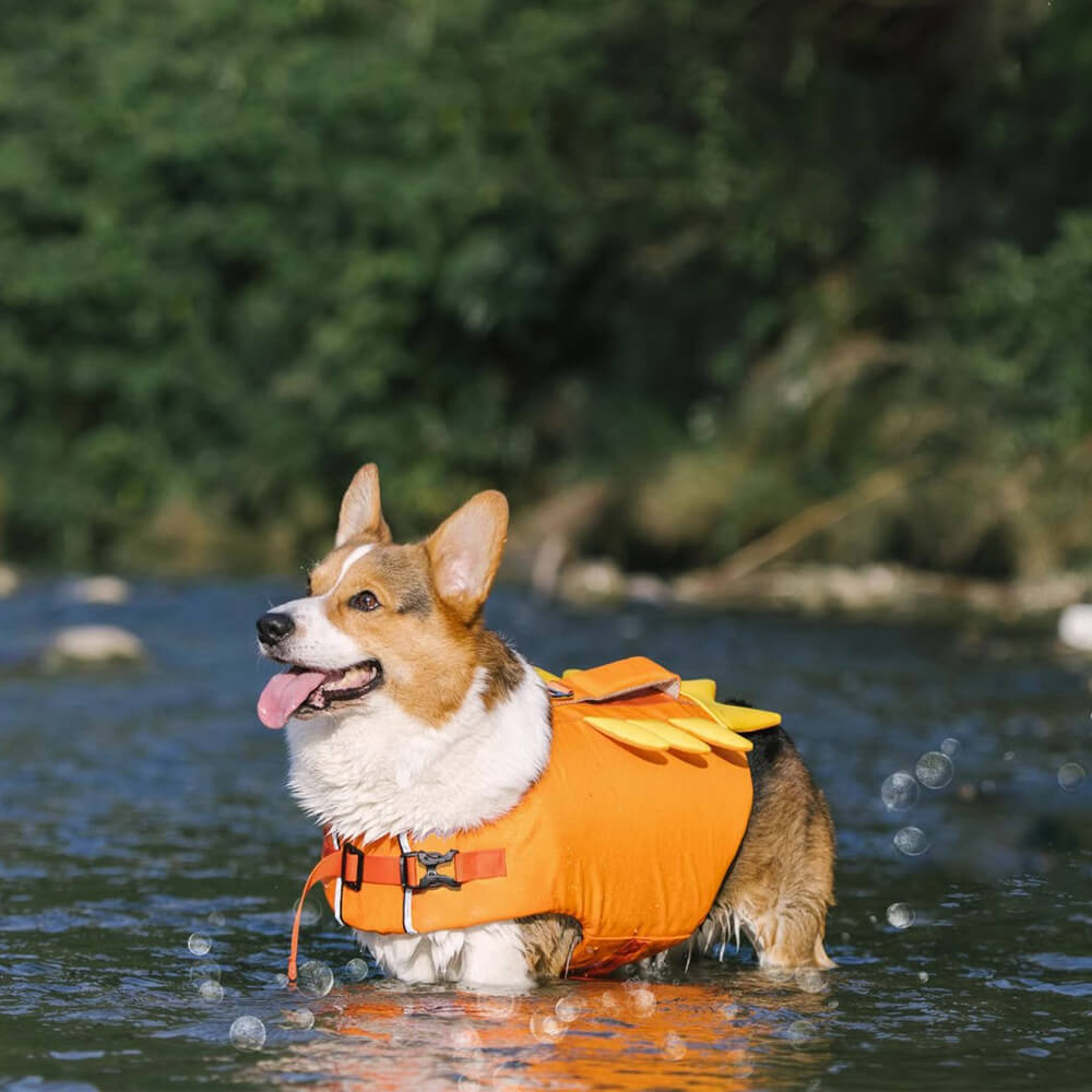 Giubbotto salvagente per cani con cappotto galleggiante per granchio