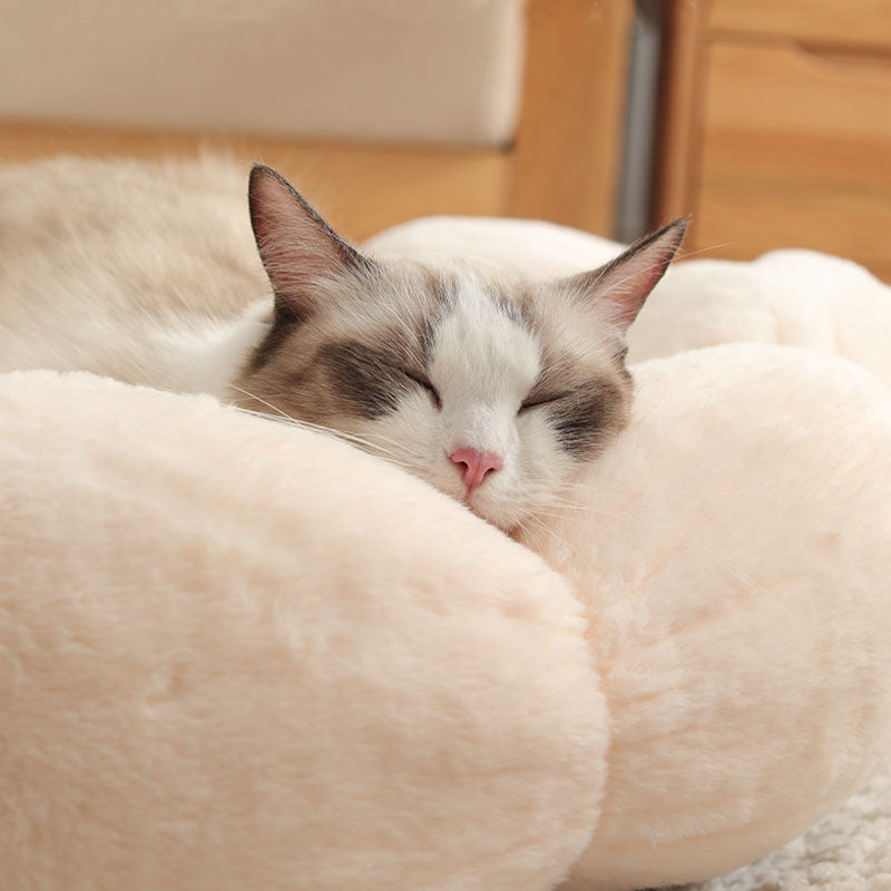 Letto per gatti a forma di fiore che dorme in profondità