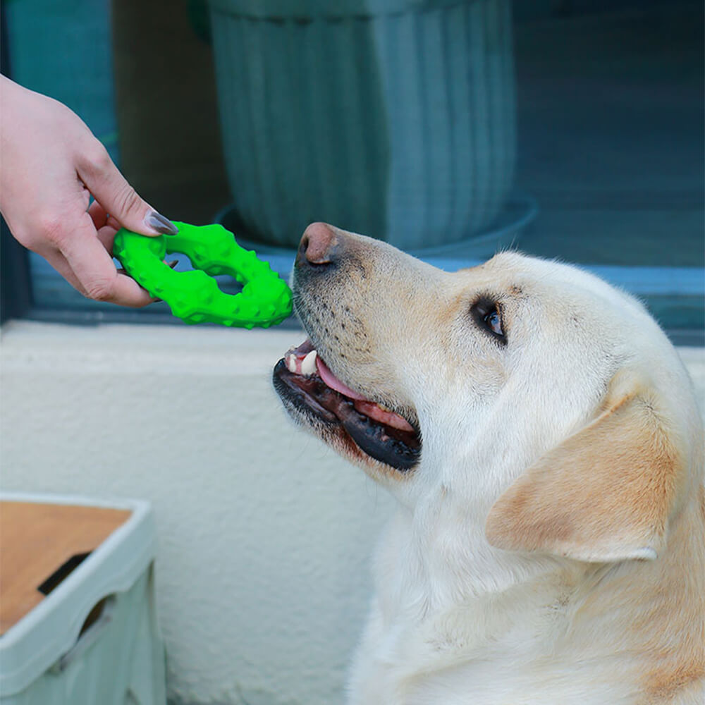 Juguete chirriante interactivo para perros Juguete masticable para la dentición