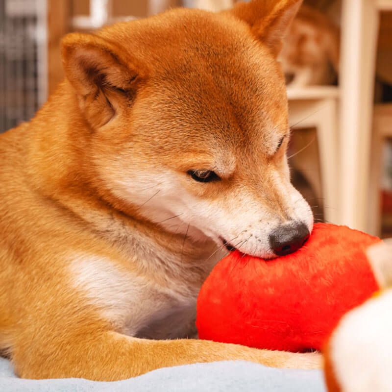 Divertente Giocattolo di Peluche per Cani Squeaky - Sedere