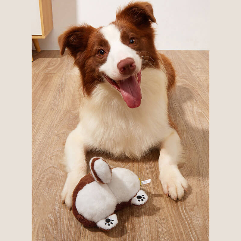 Divertente Giocattolo di Peluche per Cani Squeaky - Sedere