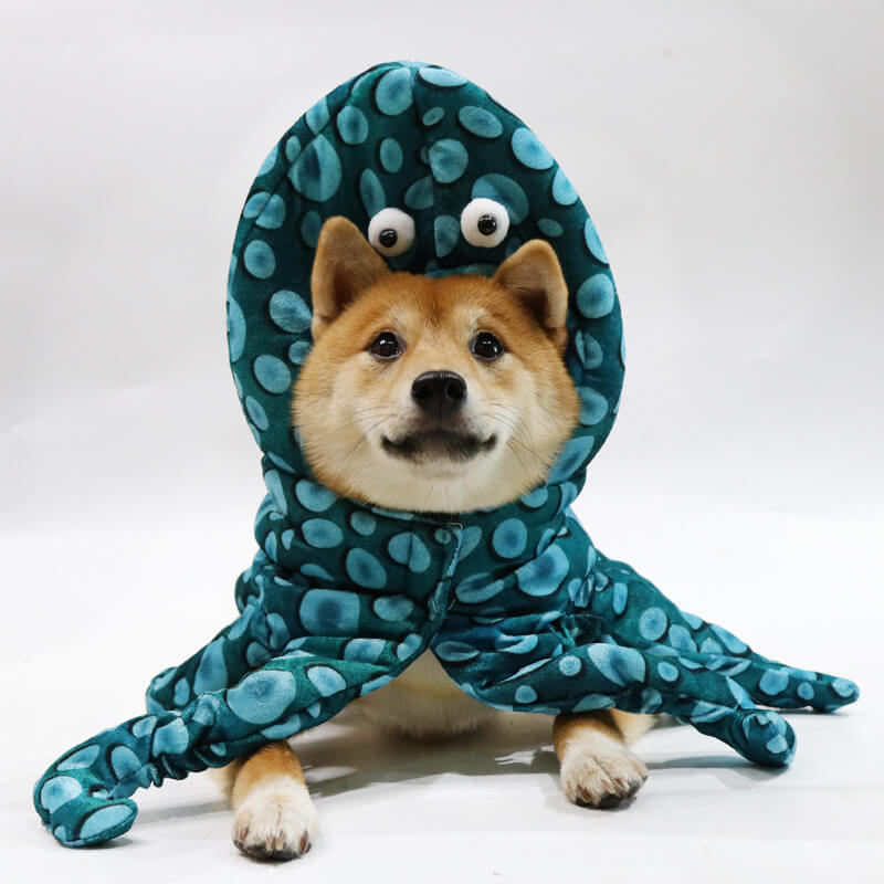 Costume da cane polpo per parodia del costume di trasformazione dell'animale domestico di Halloween