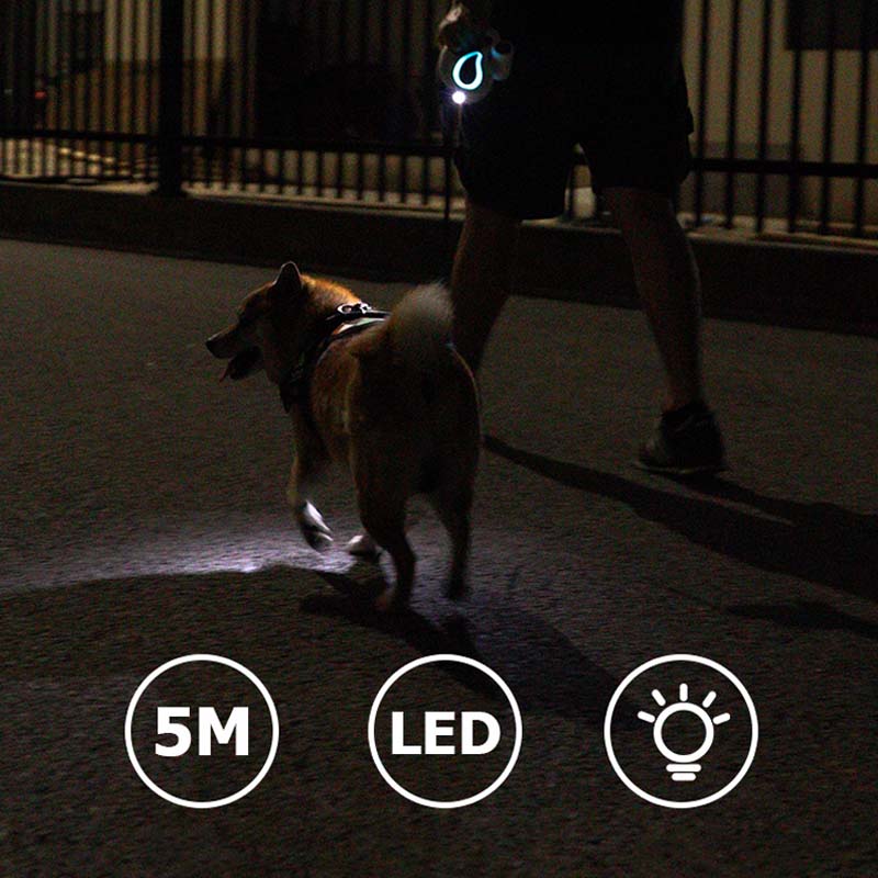 Guinzaglio da addestramento per accessori per cani freddi retrattili lunghi a LED