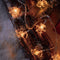 LED-Lichterkette mit Weihnachtsmotiv, Rentier und Schneeflocke, USB-Lichterkette
