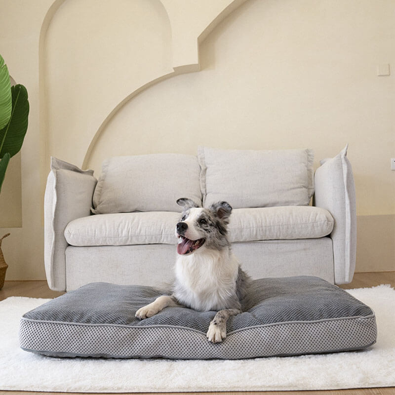 Grande cuscino per cani rimovibile con materassino traspirante grigio per animali domestici