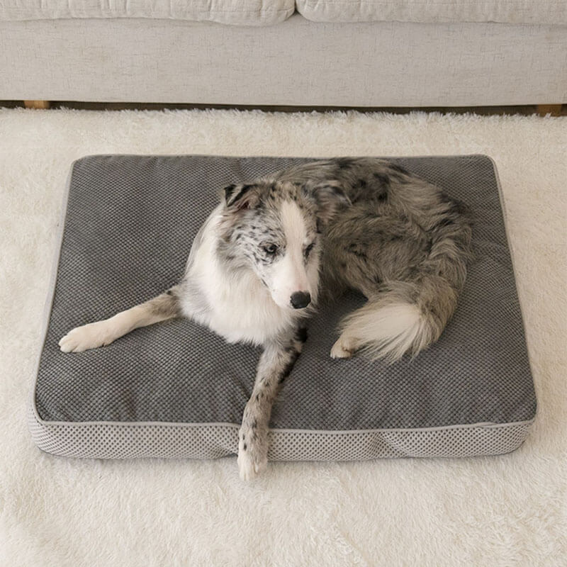 Grande cuscino per cani rimovibile con materassino traspirante grigio per animali domestici