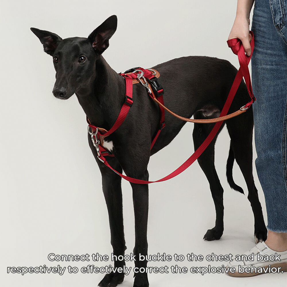 Imbracatura per cani anti-tira multifunzionale e a mani libere.
