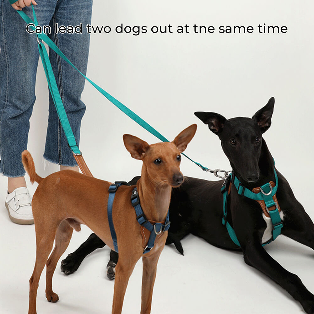 Imbracatura per cani anti-tira multifunzionale e a mani libere.