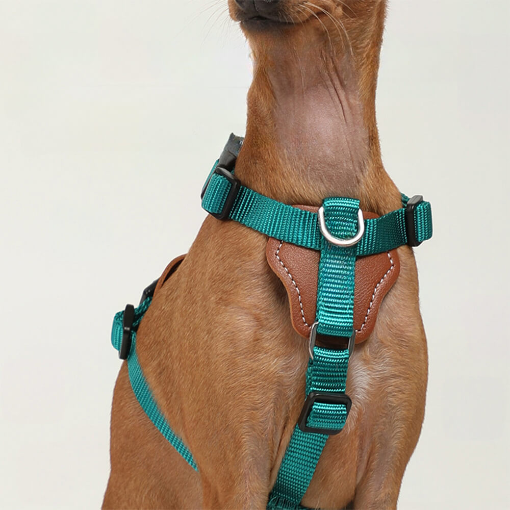 Set di imbracature multifunzionali per cani antistrappo a mani libere con custodia