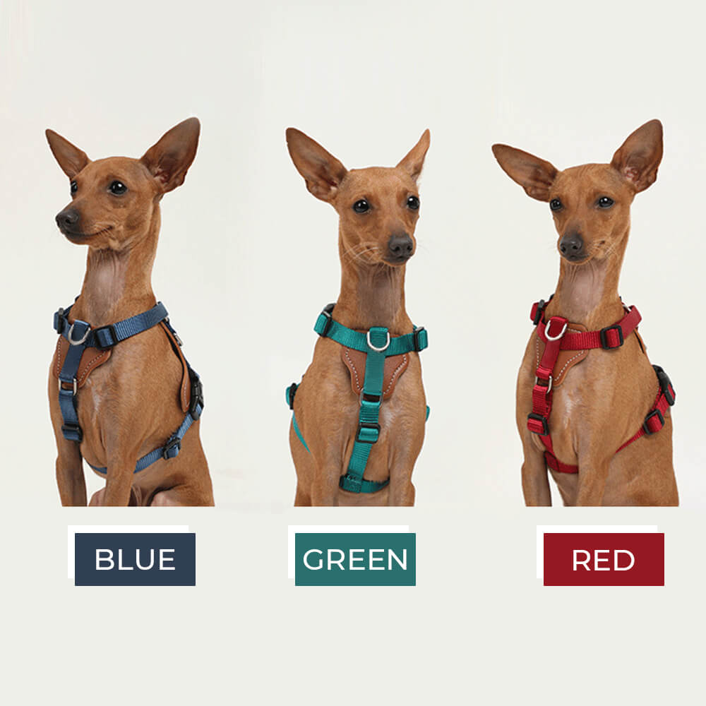 Imbracatura per cani anti-tira multifunzionale e a mani libere.