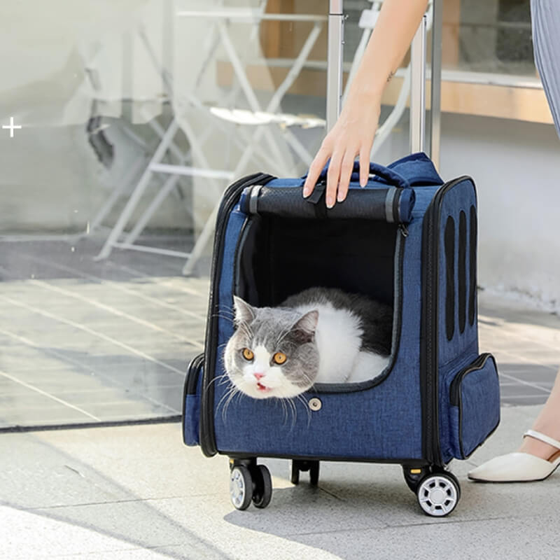 Trolley per animali domestici con zaino da viaggio pieghevole multiuso per gatti