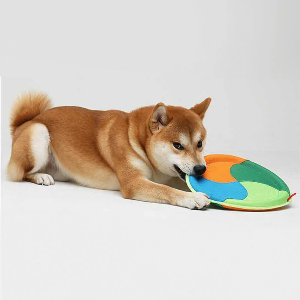 Frisbee per cani in tessuto Oxford resistente all'aperto, giocattolo interattivo per cani